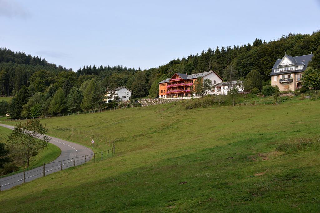 Les Gites D'Adelspach Gites & Spa En Alsace Aubure Luaran gambar